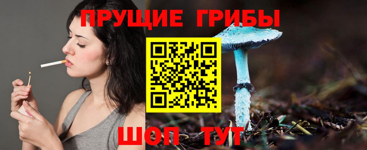 Улан-Удэ  Галлюциногенные грибы GOLDEN TEACHER  Вход с VPN 